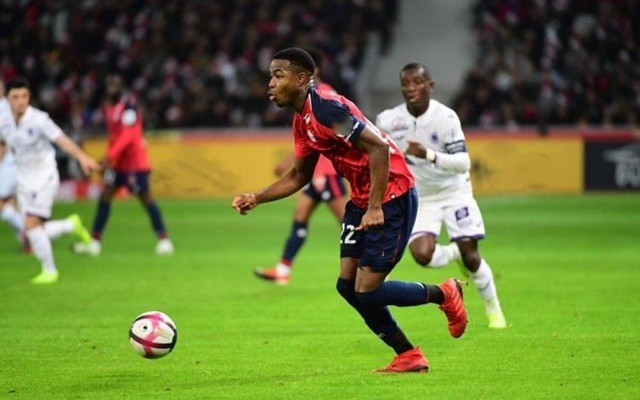 在全球范围 在全球范围