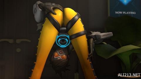 全面压制浙 全面压制浙