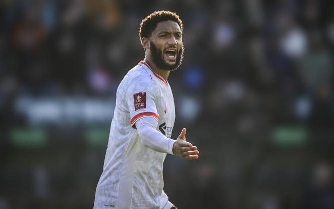 系上泰山队 系上泰山队